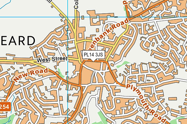 PL14 3JS map - OS VectorMap District (Ordnance Survey)