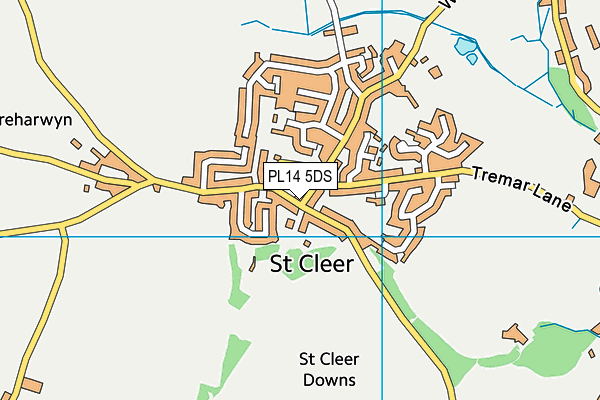 PL14 5DS map - OS VectorMap District (Ordnance Survey)