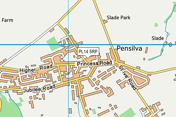 PL14 5RP map - OS VectorMap District (Ordnance Survey)