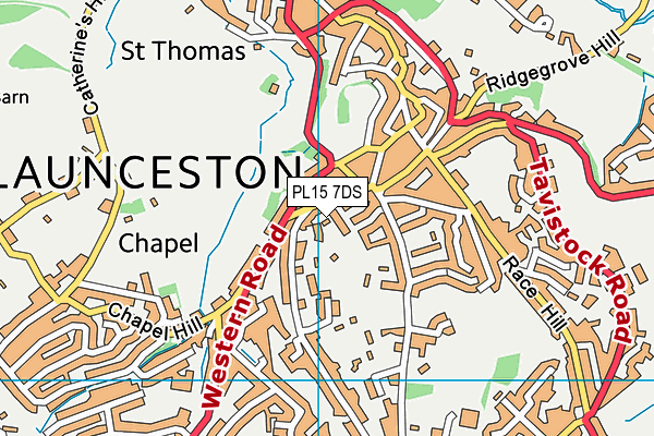 PL15 7DS map - OS VectorMap District (Ordnance Survey)