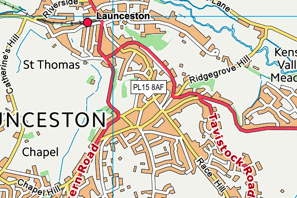 PL15 8AF map - OS VectorMap District (Ordnance Survey)