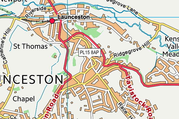 PL15 8AP map - OS VectorMap District (Ordnance Survey)