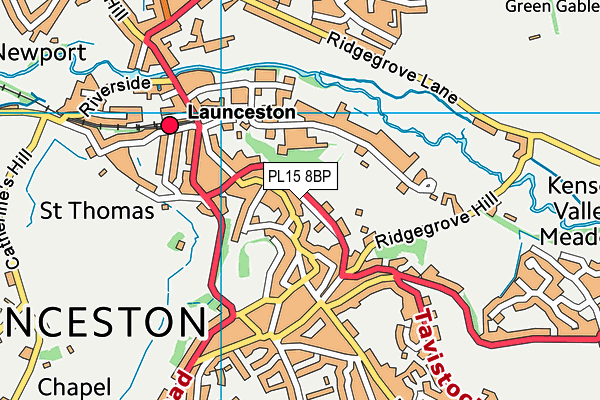 PL15 8BP map - OS VectorMap District (Ordnance Survey)