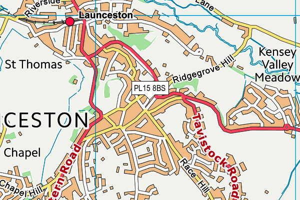 PL15 8BS map - OS VectorMap District (Ordnance Survey)