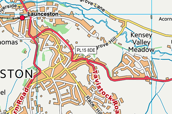 PL15 8DE map - OS VectorMap District (Ordnance Survey)