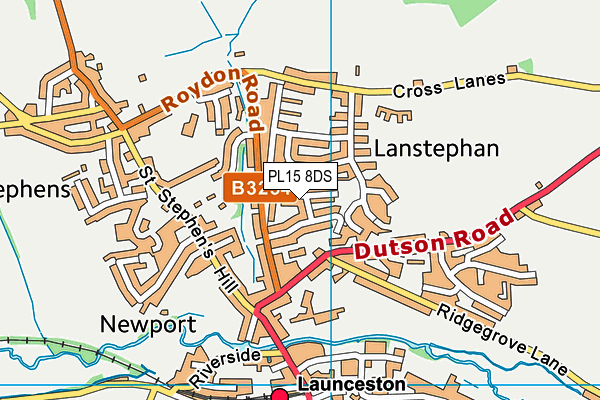 PL15 8DS map - OS VectorMap District (Ordnance Survey)