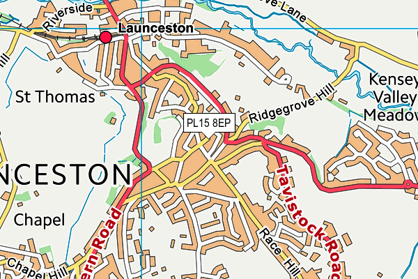 PL15 8EP map - OS VectorMap District (Ordnance Survey)