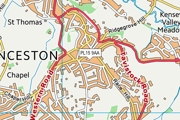 PL15 9AA map - OS VectorMap District (Ordnance Survey)