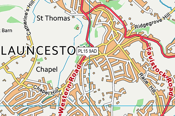 PL15 9AD map - OS VectorMap District (Ordnance Survey)