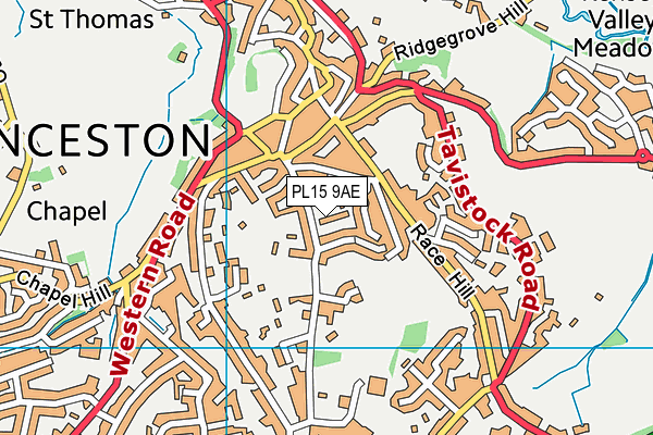 PL15 9AE map - OS VectorMap District (Ordnance Survey)