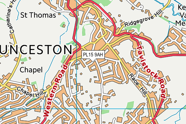 PL15 9AH map - OS VectorMap District (Ordnance Survey)