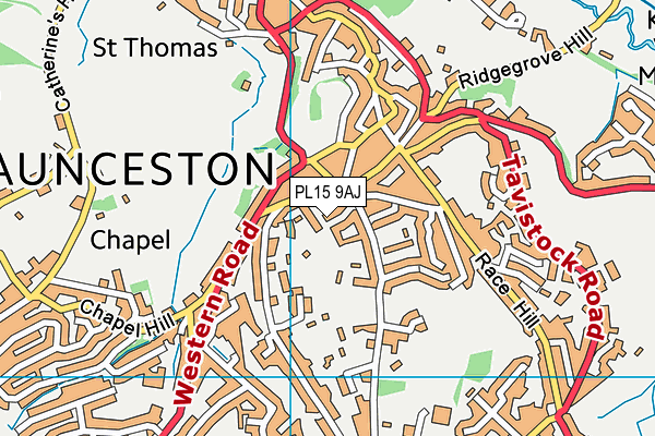 PL15 9AJ map - OS VectorMap District (Ordnance Survey)