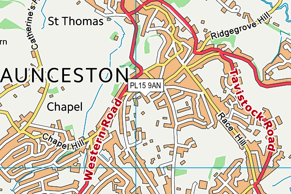 PL15 9AN map - OS VectorMap District (Ordnance Survey)