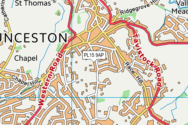 PL15 9AP map - OS VectorMap District (Ordnance Survey)