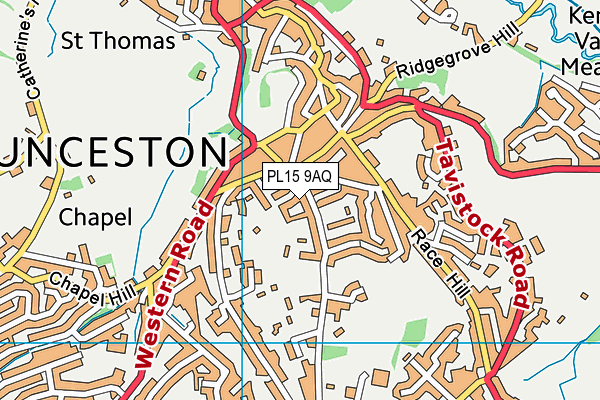 PL15 9AQ map - OS VectorMap District (Ordnance Survey)