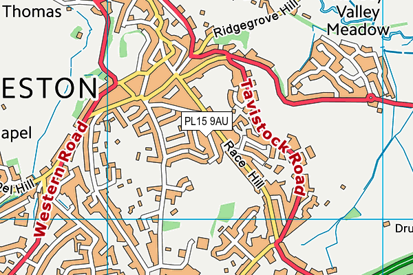 PL15 9AU map - OS VectorMap District (Ordnance Survey)