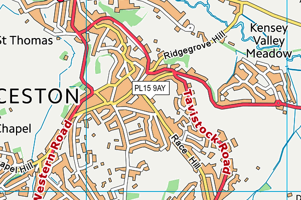 PL15 9AY map - OS VectorMap District (Ordnance Survey)