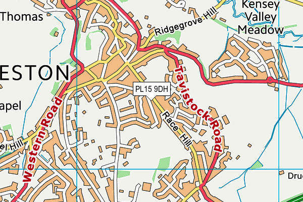 PL15 9DH map - OS VectorMap District (Ordnance Survey)