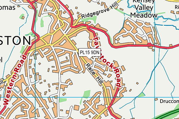 PL15 9DN map - OS VectorMap District (Ordnance Survey)