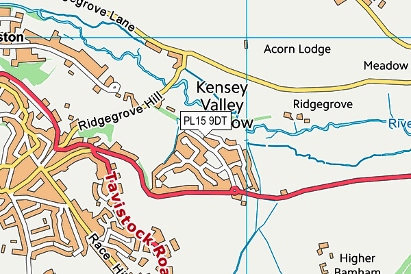 PL15 9DT map - OS VectorMap District (Ordnance Survey)