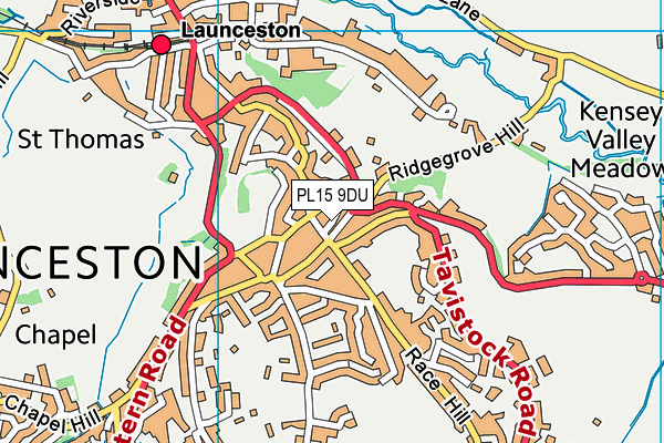 PL15 9DU map - OS VectorMap District (Ordnance Survey)