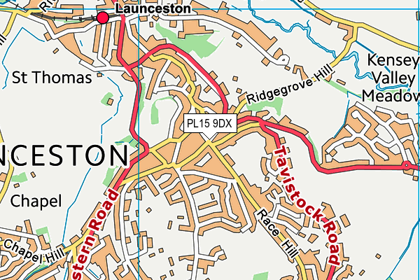 PL15 9DX map - OS VectorMap District (Ordnance Survey)