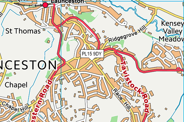 PL15 9DY map - OS VectorMap District (Ordnance Survey)