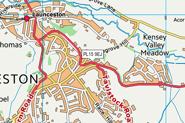 PL15 9EJ map - OS VectorMap District (Ordnance Survey)