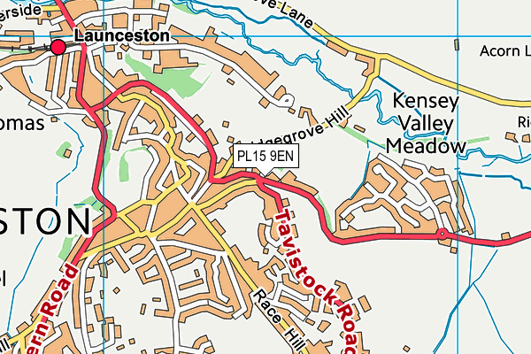 PL15 9EN map - OS VectorMap District (Ordnance Survey)