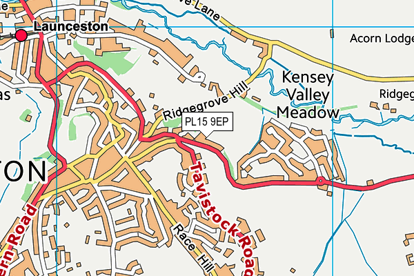 PL15 9EP map - OS VectorMap District (Ordnance Survey)