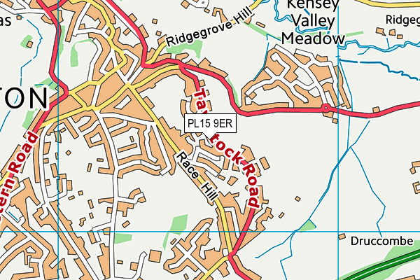 PL15 9ER map - OS VectorMap District (Ordnance Survey)