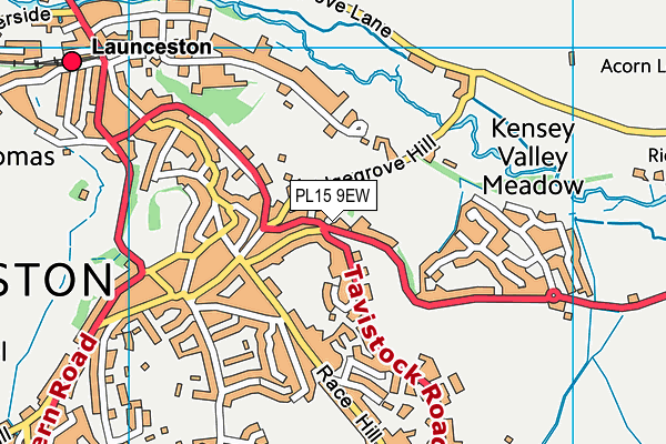 PL15 9EW map - OS VectorMap District (Ordnance Survey)