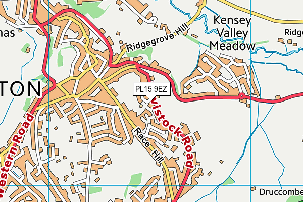 PL15 9EZ map - OS VectorMap District (Ordnance Survey)