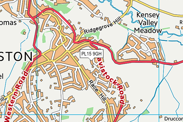 PL15 9GH map - OS VectorMap District (Ordnance Survey)