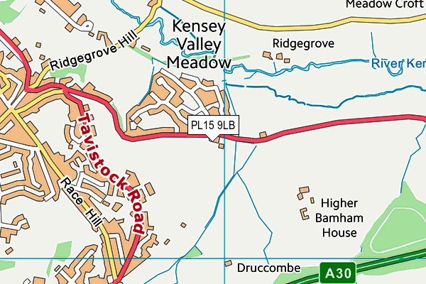 PL15 9LB map - OS VectorMap District (Ordnance Survey)