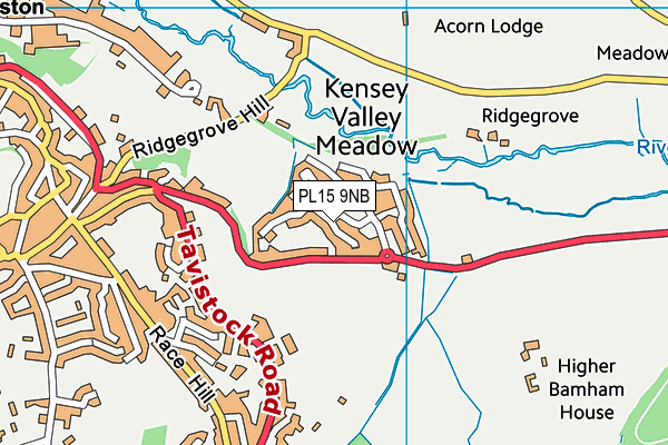 PL15 9NB map - OS VectorMap District (Ordnance Survey)