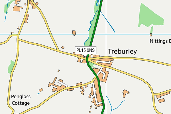 PL15 9NS map - OS VectorMap District (Ordnance Survey)