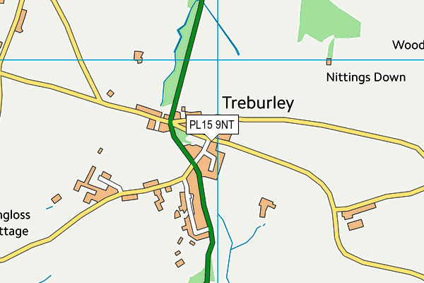 PL15 9NT map - OS VectorMap District (Ordnance Survey)