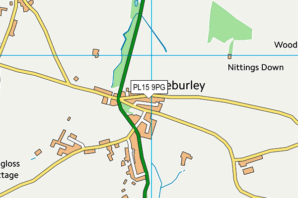 PL15 9PG map - OS VectorMap District (Ordnance Survey)