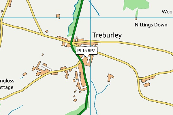 PL15 9PZ map - OS VectorMap District (Ordnance Survey)