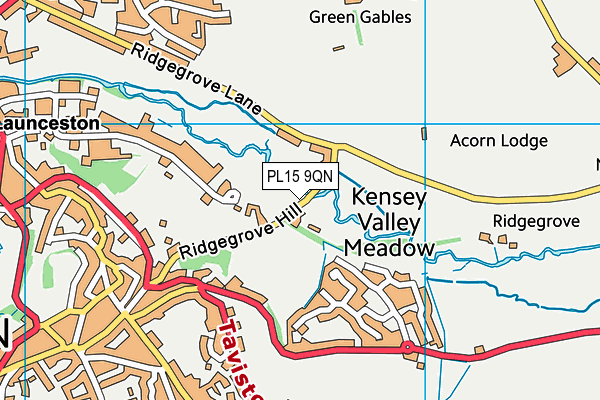 PL15 9QN map - OS VectorMap District (Ordnance Survey)