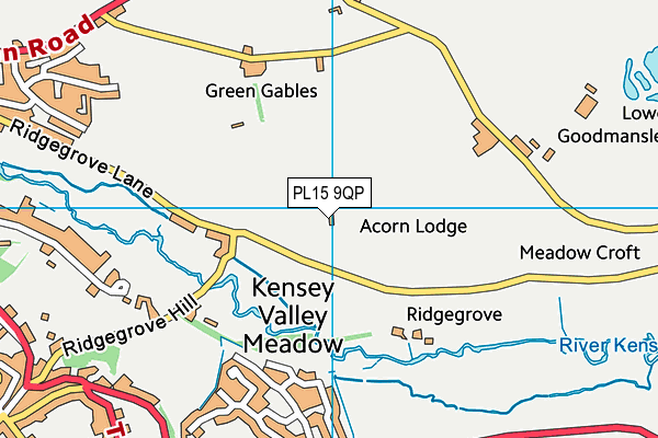 PL15 9QP map - OS VectorMap District (Ordnance Survey)