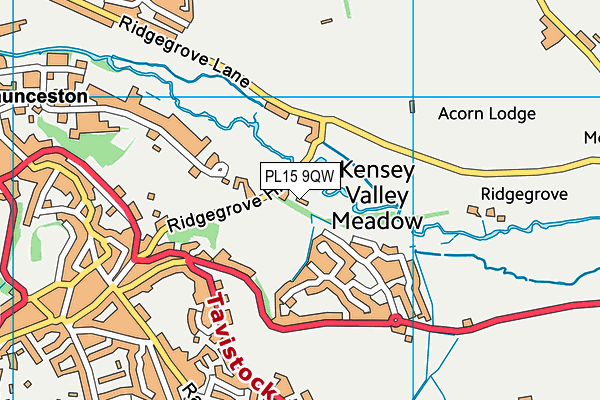 PL15 9QW map - OS VectorMap District (Ordnance Survey)