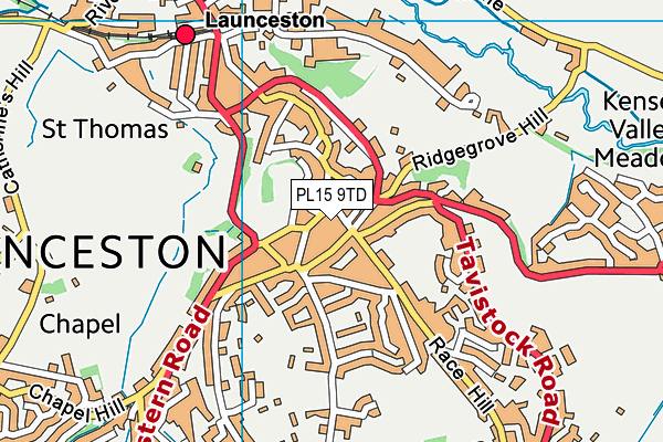 PL15 9TD map - OS VectorMap District (Ordnance Survey)