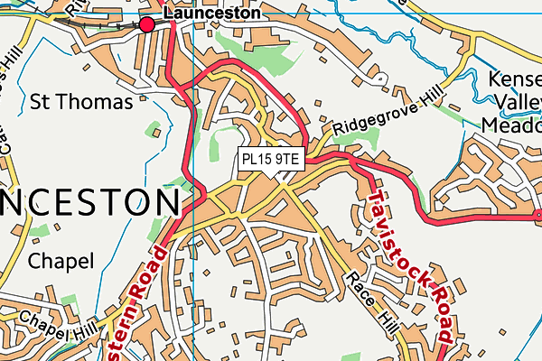 PL15 9TE map - OS VectorMap District (Ordnance Survey)