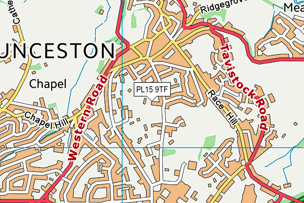 PL15 9TF map - OS VectorMap District (Ordnance Survey)