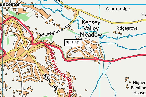 PL15 9TJ map - OS VectorMap District (Ordnance Survey)