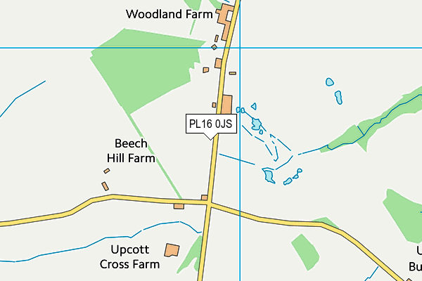 PL16 0JS map - OS VectorMap District (Ordnance Survey)