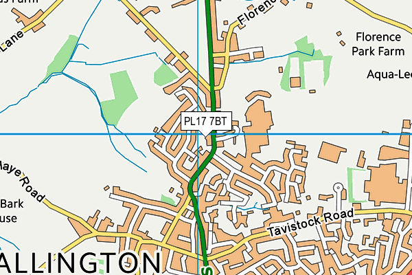 PL17 7BT map - OS VectorMap District (Ordnance Survey)