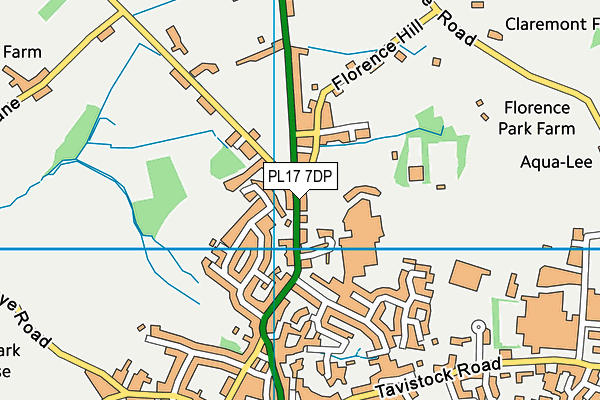 PL17 7DP map - OS VectorMap District (Ordnance Survey)